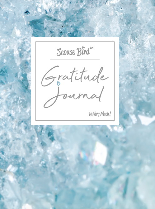 Gratitude & Intention Journal