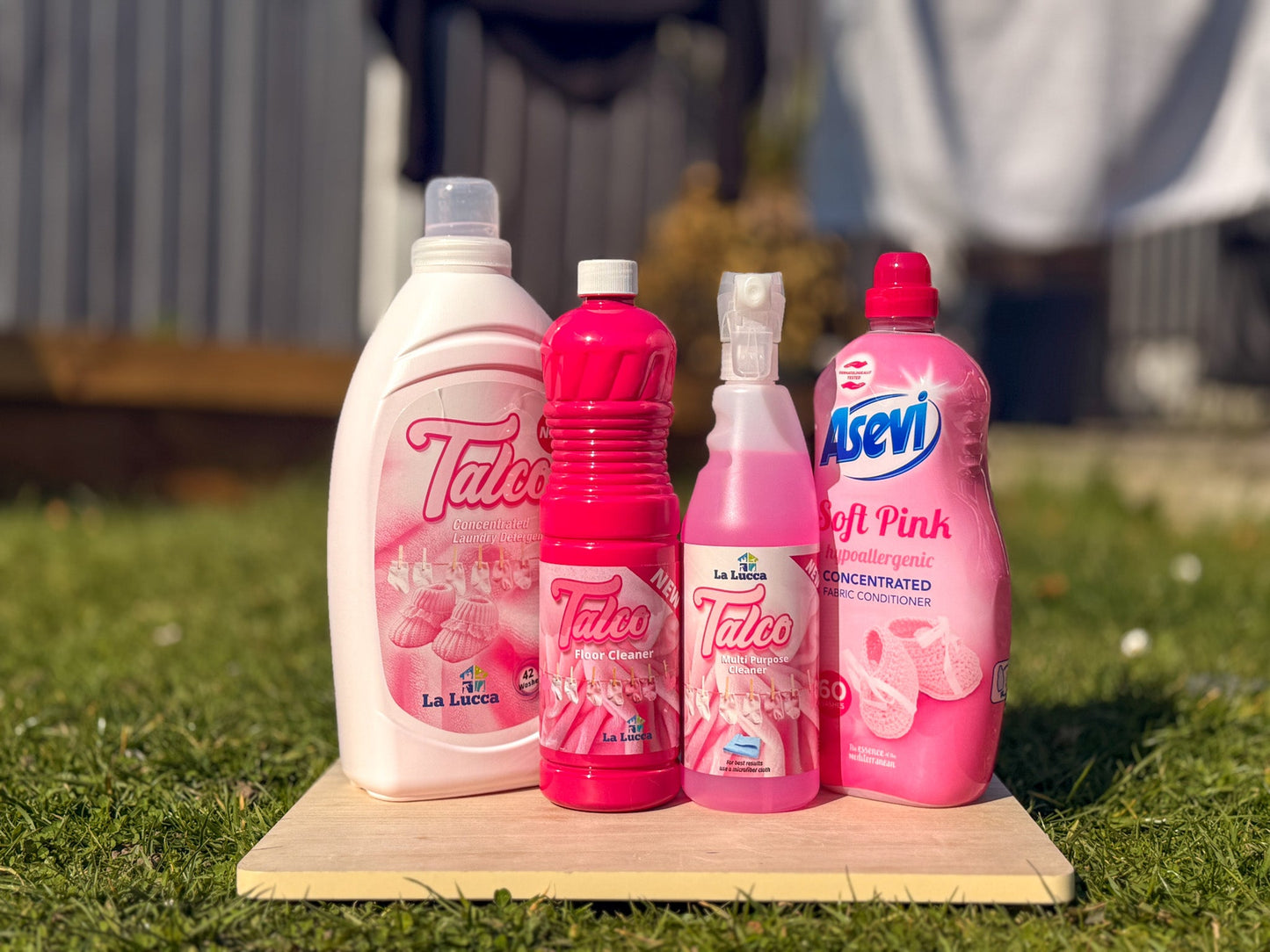 Asevi vs La Lucca: Which Spanish Cleaning Products Win?