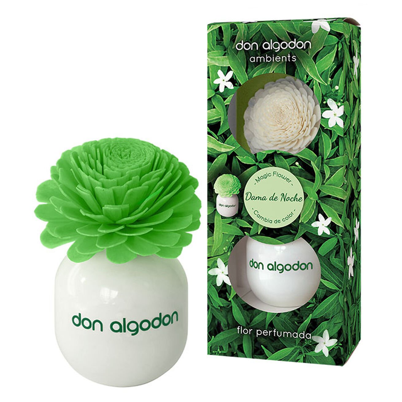 Don Algodon Dama de Noche jasmine flower diffuser with real blooming flower and luxe Spanish scent.